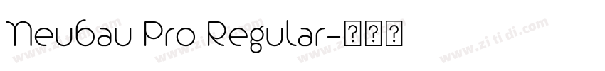 Neubau Pro Regular字体转换